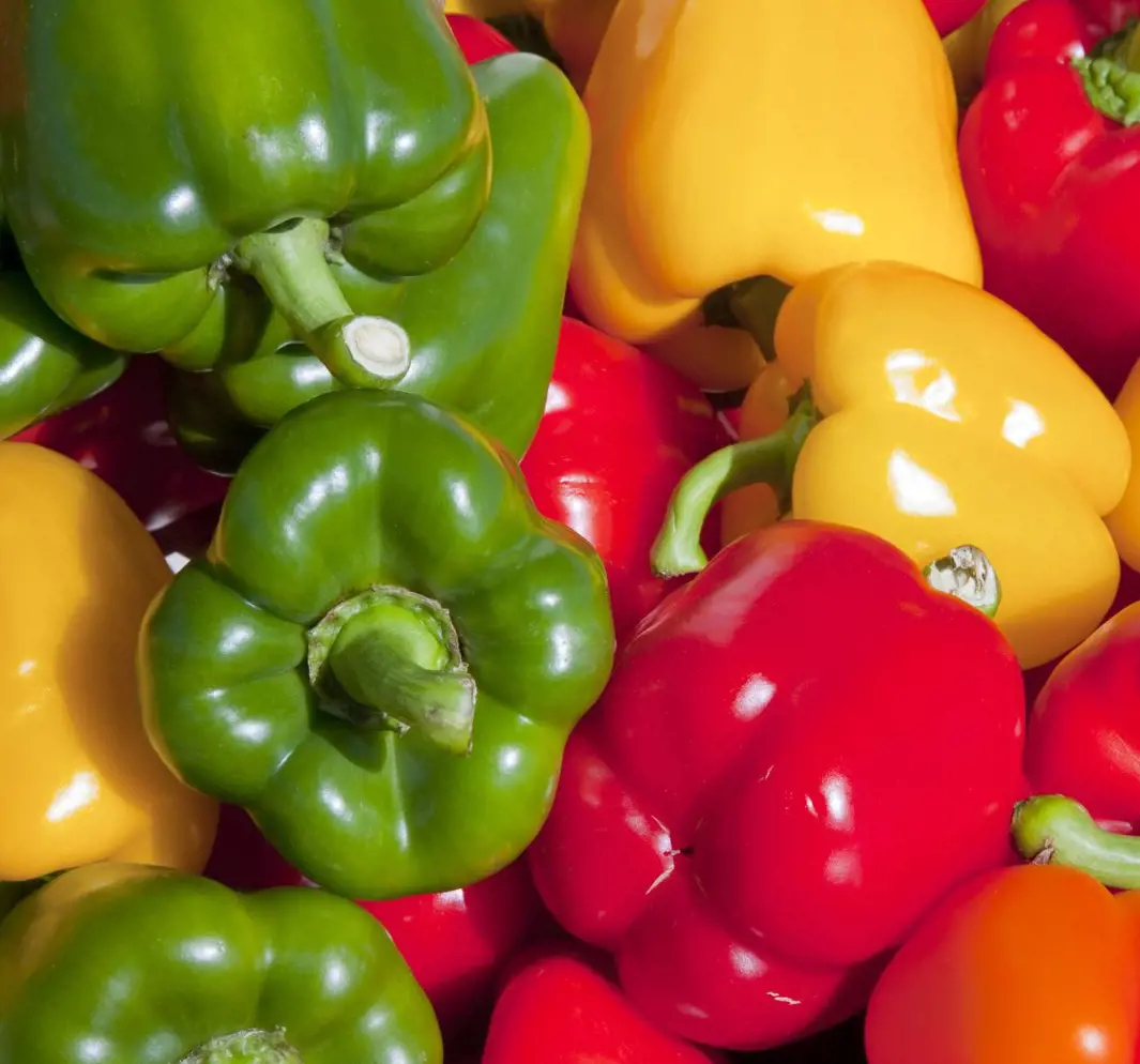 15 Bell Pepper Calories And Nutrition Facts